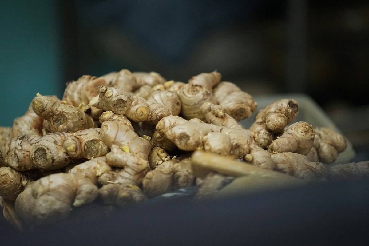 Alimentos naturales para eliminar parásitos intestinales