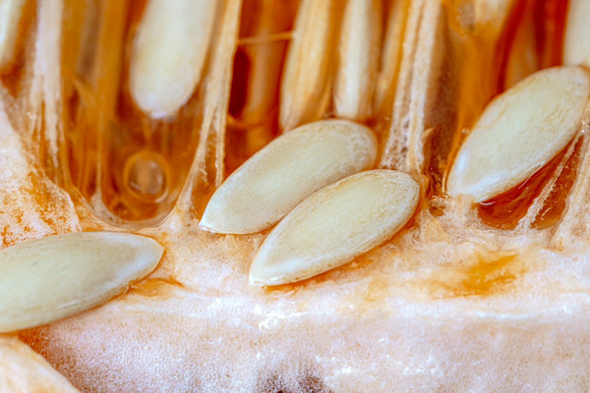Semillas de calabaza crudas